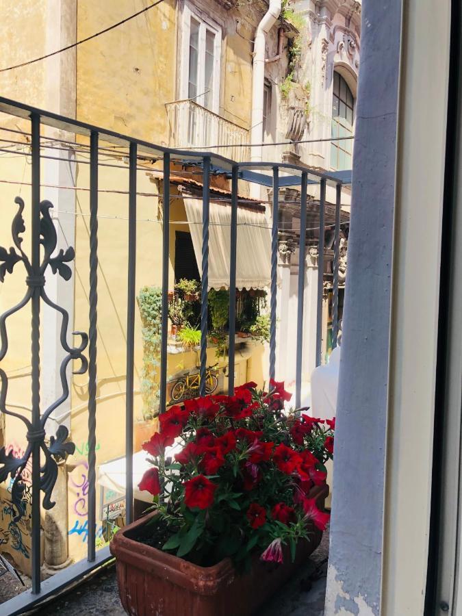 Bed and Breakfast Dimora Paladino Napoli Esterno foto